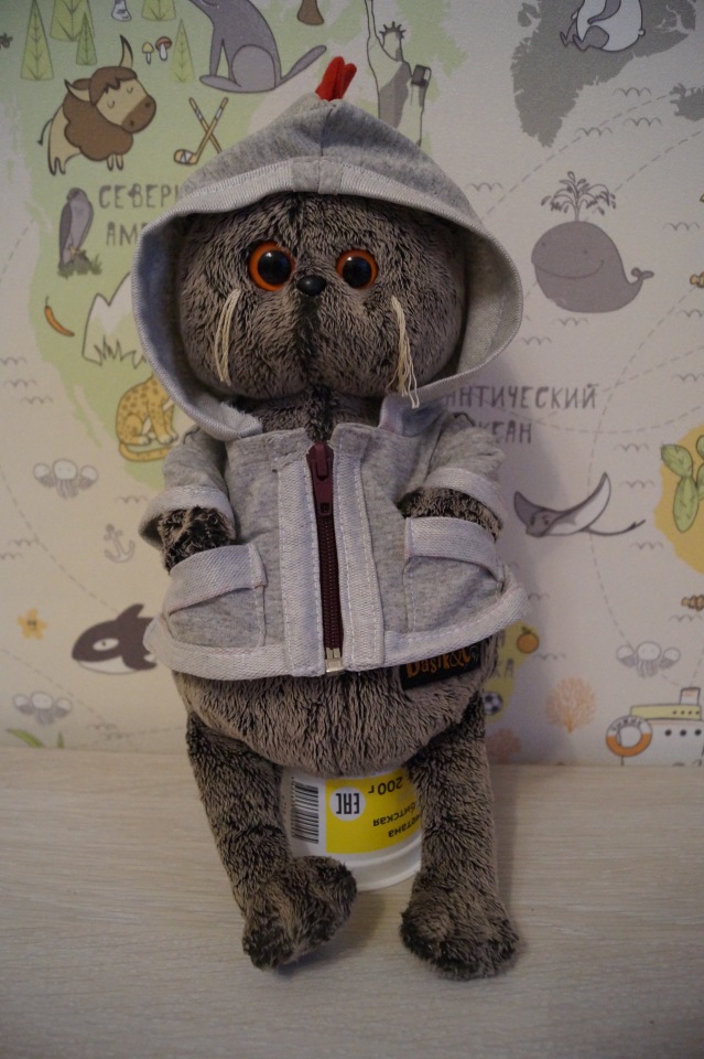 Агаша шьёт для Басика. Толстовка Дракоша