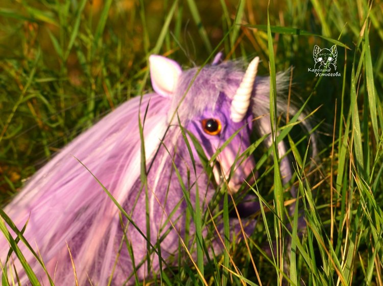 Единорог-страна мечты. Осеняя прогулка (фото 7)