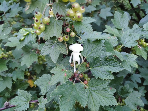 Лето с лягушками — Коллекционные куклы разных авторов (Разное): редкие бренды