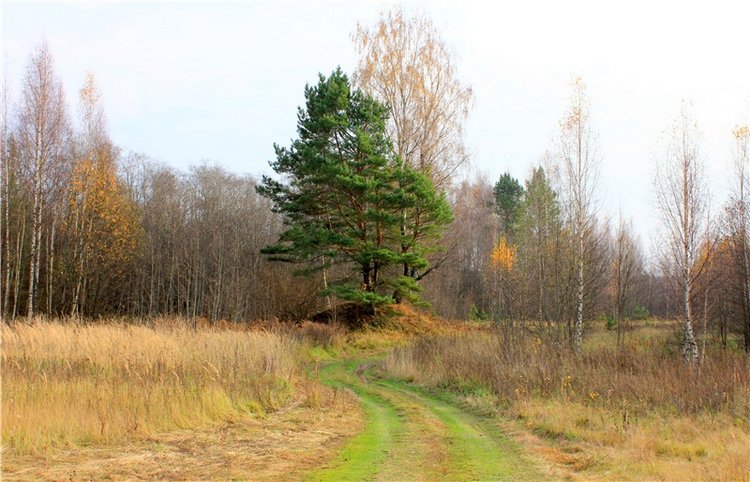 Гришутка — Винтажные куклы ГДР (Немки): Бигги