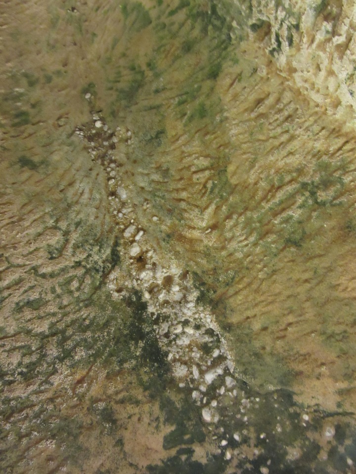 До пандемии. Путешествие по Италии, часть 1 (Кьянти, Сиена)