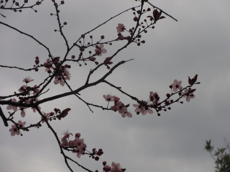 До пандемии. Путешествие по Италии, часть 3 (Флоренция, аутлет Барберино)