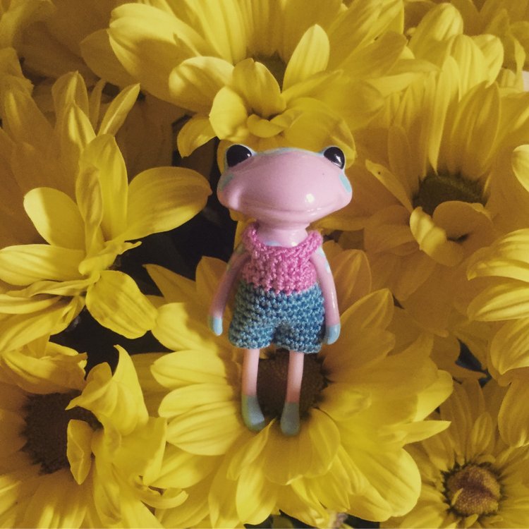 Маленькие лягушата Wonder Frog и цветы (фото 6)