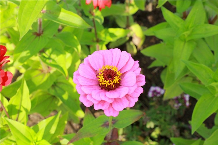 Сентябрьское путешествие в Старицу. Старицкий Свято-Успенский Монастырь