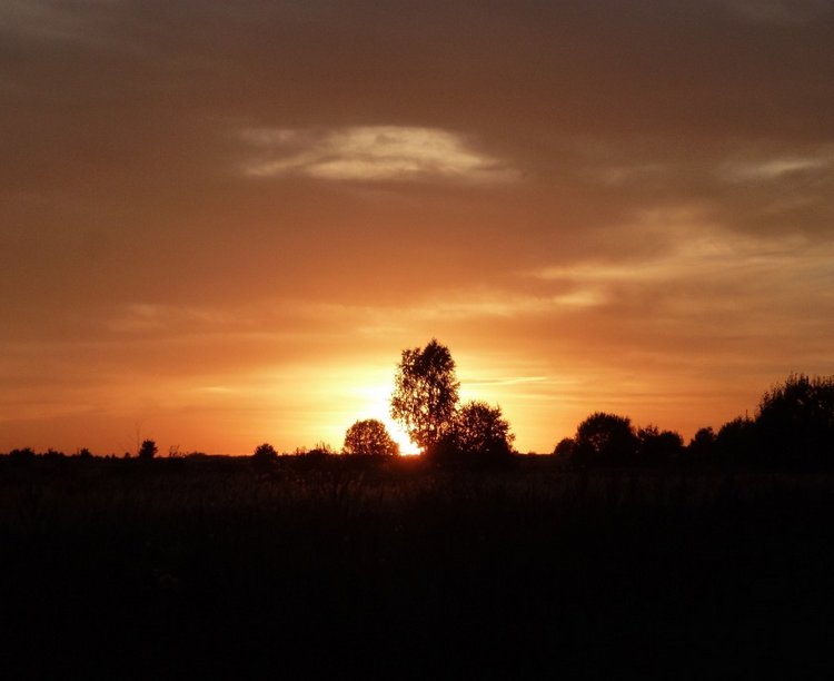 Отдых в деревне с Джой — Туризм и путешествия: фотоотчеты из поездок