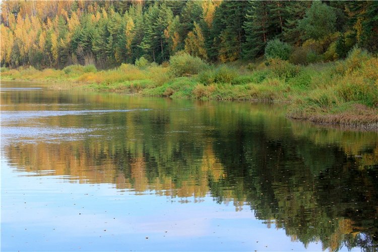 Путешествие Имани на Волгу. Mini Imani от Kaye Wiggs (фото 10)