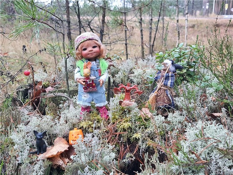 Сказка Оршинского Леса | Бэйбики Сказка Оршинского Леса — Куклы Meadow dolls (Медовушки): BJD (БЖД) (фото 3)
