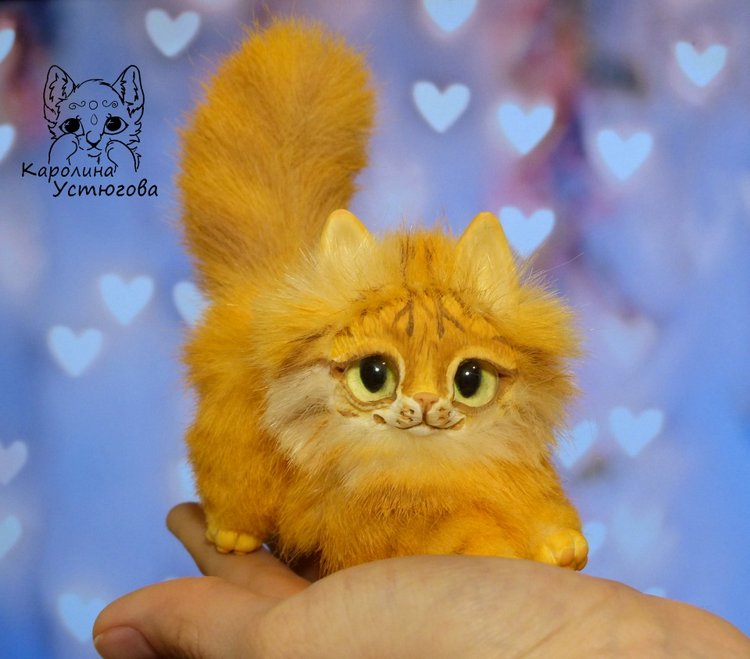 Котята Сибирской породы Табби и Мраморный биколор