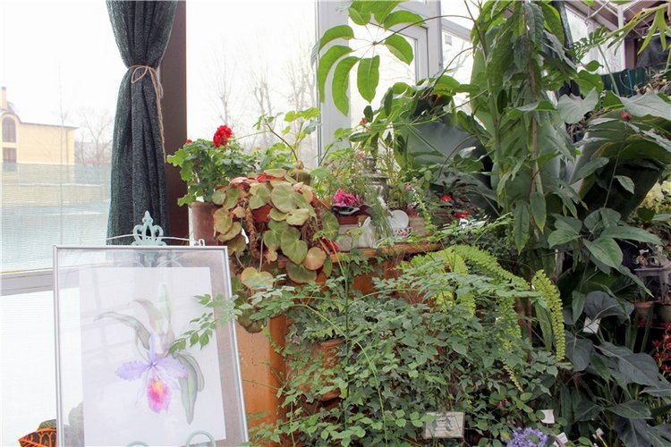 Тверской Ботанический Сад, продолжение | Бэйбики Тверской Ботанический Сад, продолжение