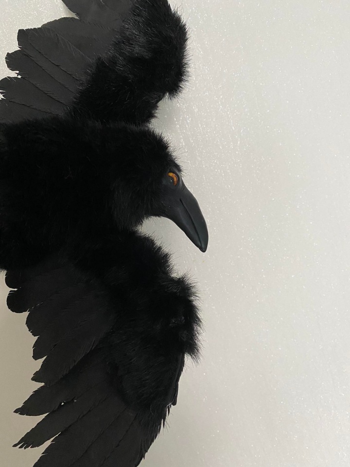 Ворон — Игрушки в смешанной технике (мех и глина): Арт