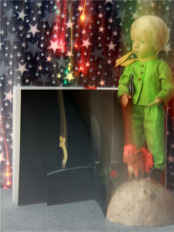 Кто тебя выдумал, Звёздная Страна? Studio Doll Little Prince, автор Sylvia Natterer