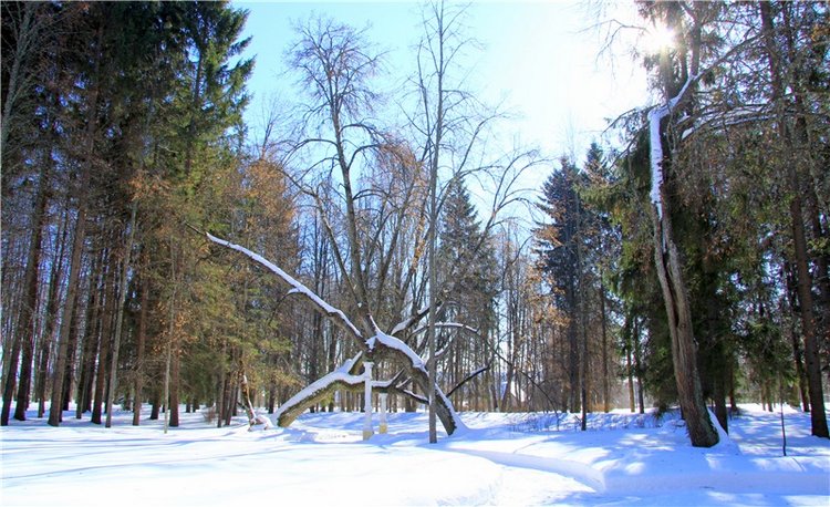 Снежный Март — Туризм и путешествия: фотоотчеты из поездок