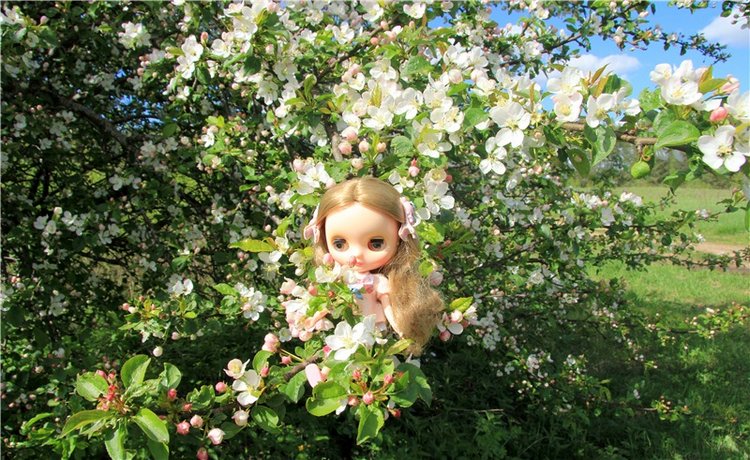 Застенчивая Алиса. Middie Blythe Doll Pebble Cakes & Shrinking Alice (фото 4)