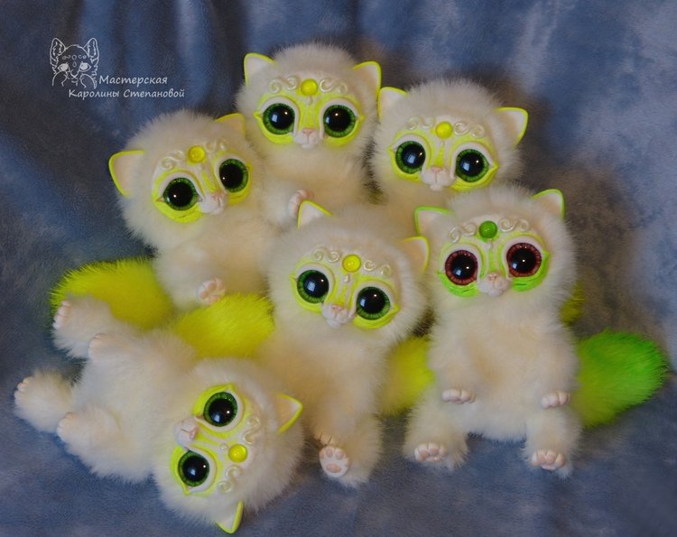 Коты Мирисы из Архива 2017 года