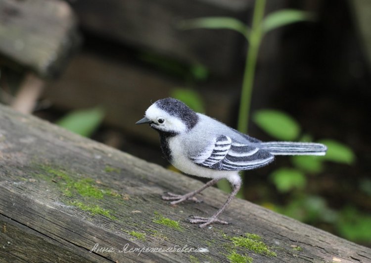 Белая трясогузка — Валяные игрушки из шерсти: сухое валяние