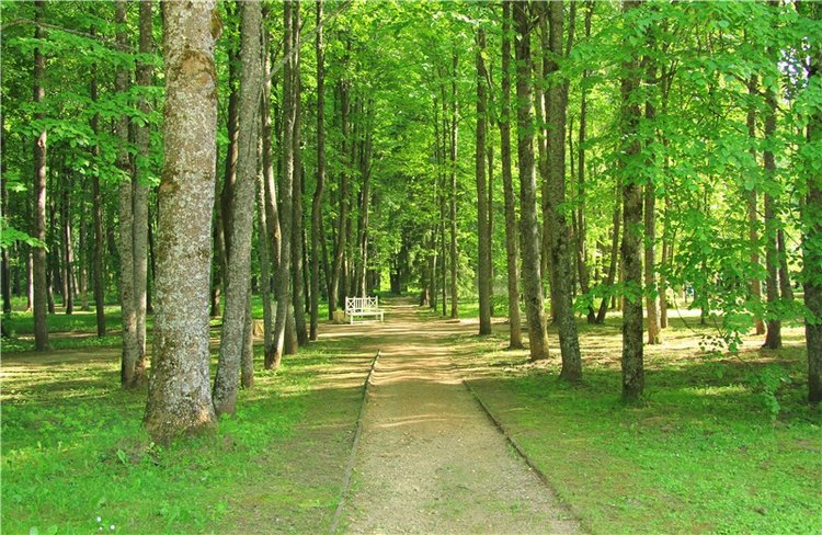 Моё Солнышко — Антикварные куклы Jumeau (Жюмо): Tete Jumeau