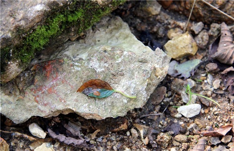 Старицкая Швейцария. Путешествие с Сашей, продолжение. Уникальная кукла от Сильвии Наттерер