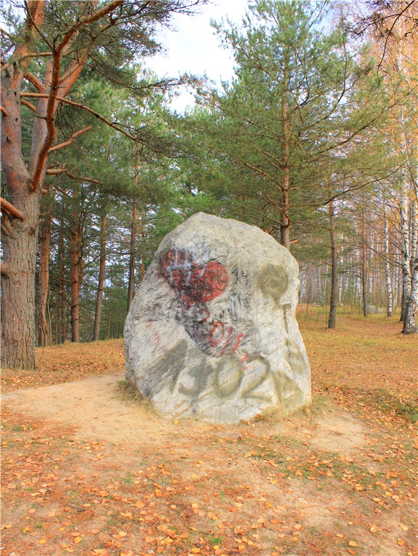 Ромашковый октябрь. Zwergnase Mischa