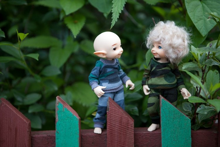 Знакомство с братьями эльфами 2 (фото 4)