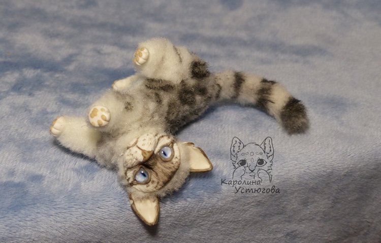 Бенгальская кошка, серебристая (фото 6)