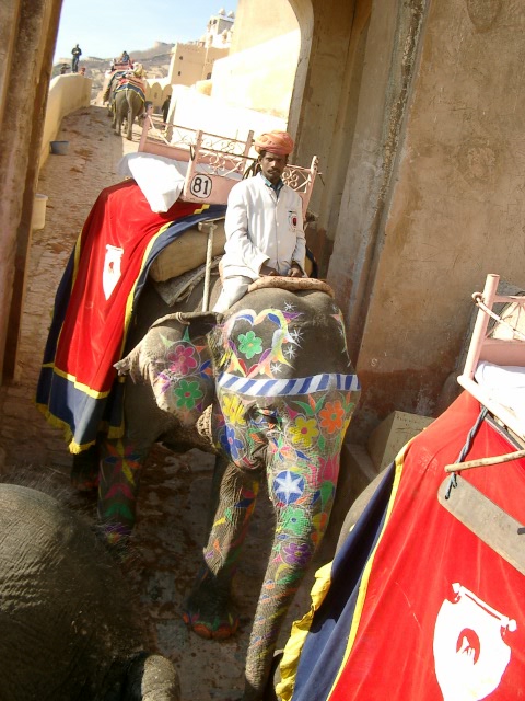 Сказочная Индия — Туризм и путешествия: фотоотчеты из поездок (фото 9)