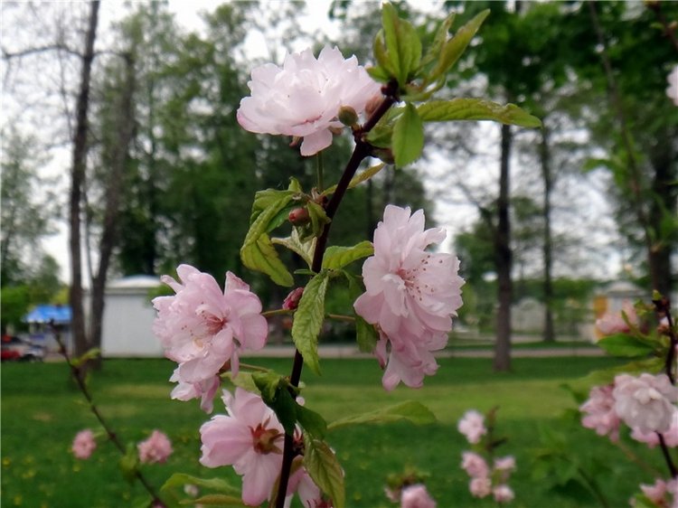 Милый мой город. Прогулка по Твери, заключительная часть