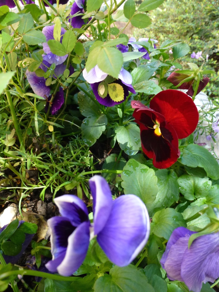 Сочи-Адлер: Южное Взморье - Мои любимые куколки на отдыхе