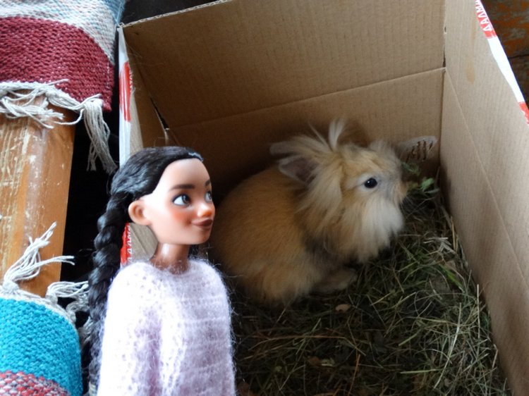 Парк Сказов — Туризм и путешествия: фотоотчеты из поездок