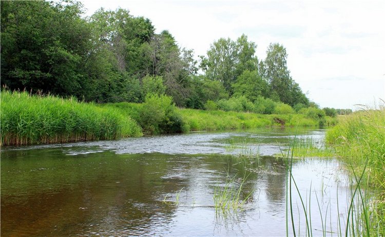 Подготовка к Конкурсу Кукольной Красоты Мисс Бэйбики 2019