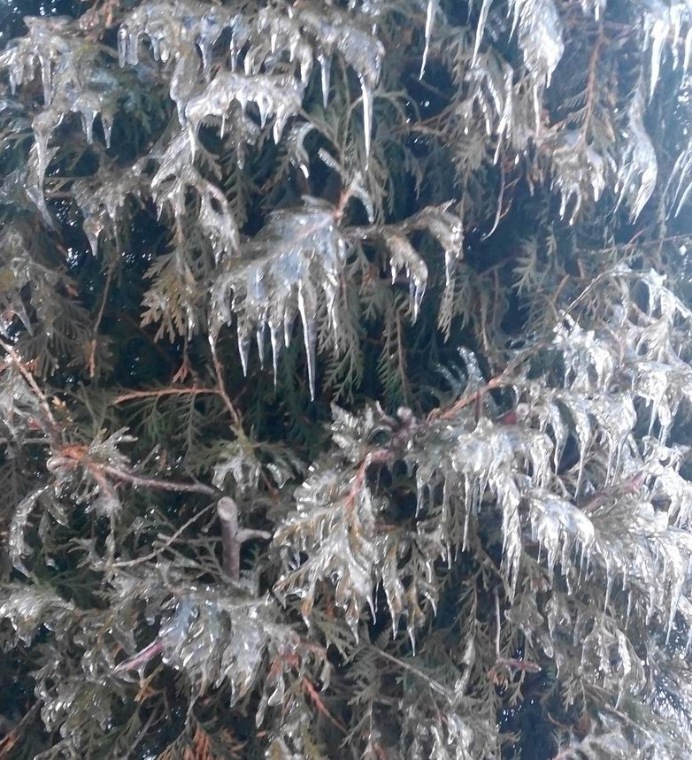 Ледяная красота на католическое Рождество в Чебоксарах, ловим солнечного зайчика... много фото | Бэйбики Ледяная красота на католическое Рождество в Чебоксарах, ловим солнечного зайчика... много фото