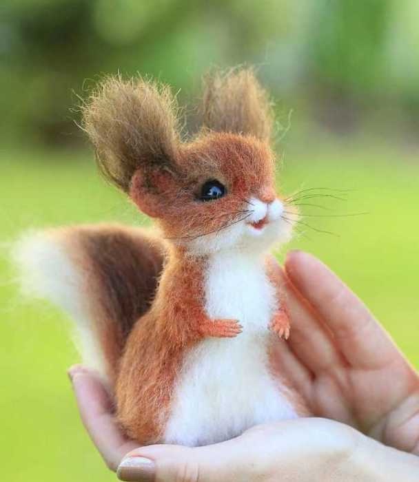 Ожившие зверушки, реализм и эстетика (фото 8)