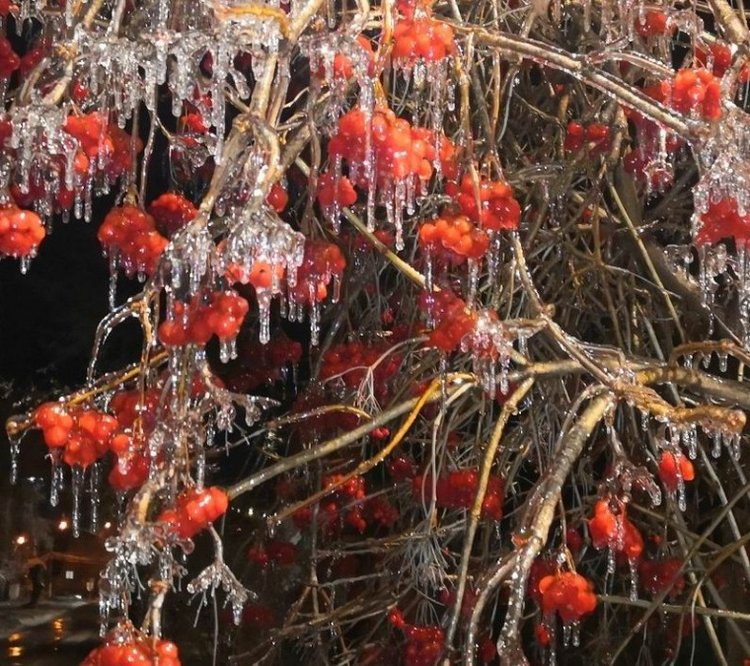 Ледяная красота на католическое Рождество в Чебоксарах, ловим солнечного зайчика... много фото | Бэйбики Ледяная красота на католическое Рождество в Чебоксарах, ловим солнечного зайчика... много фото