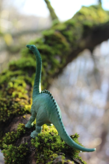 Вы коллекционируете динозавров (фото 9)