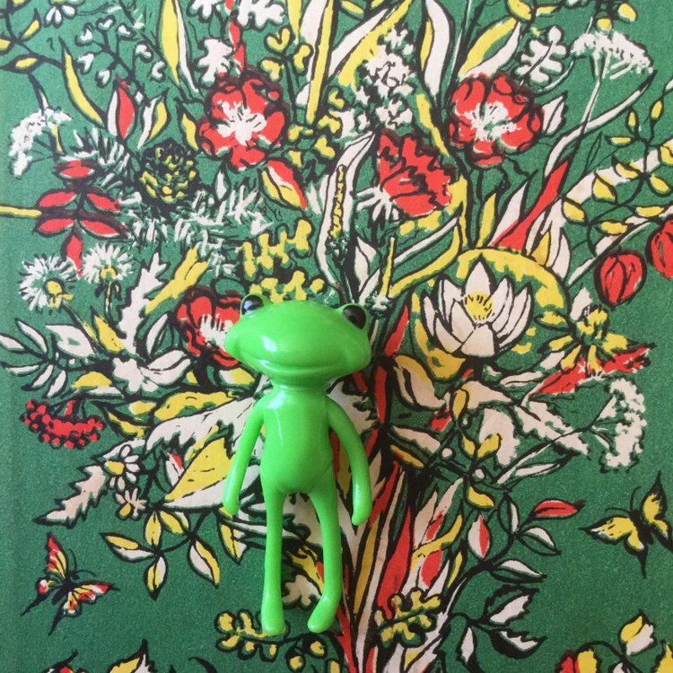 Маленькие лягушата Wonder Frog и цветы