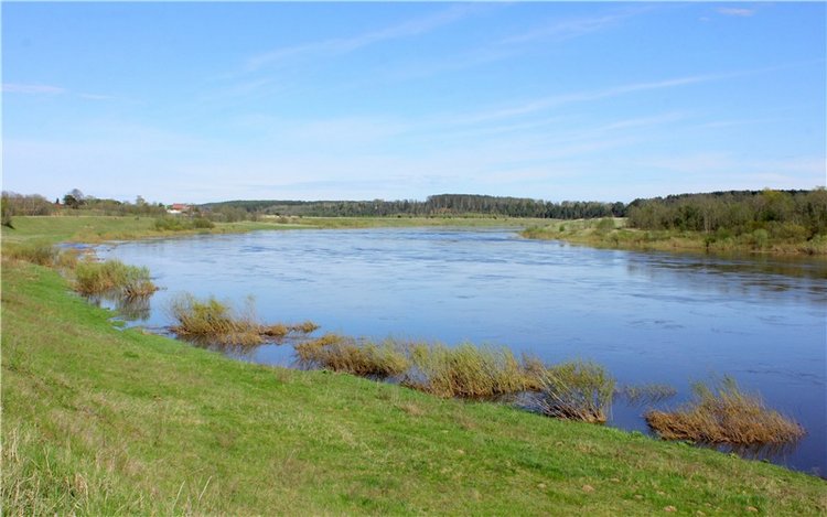 Долгая дорога к Волге. Custom Blythe Doll UFO Go Go Takara