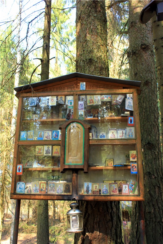 Савватьева Пустынь, Тверская область