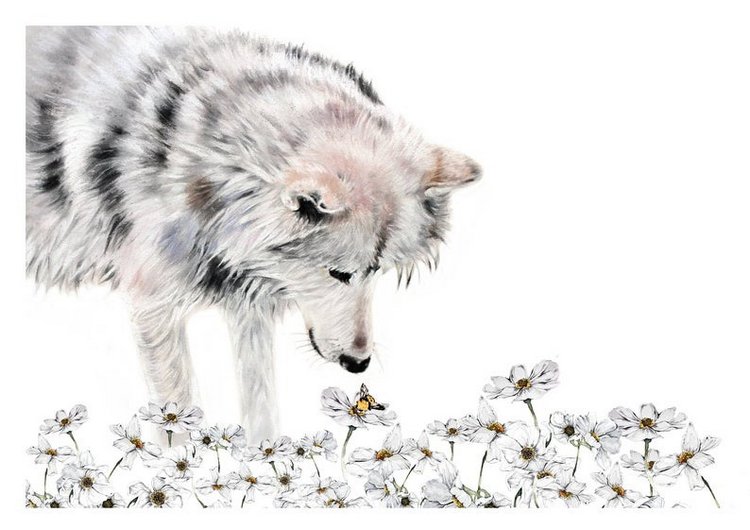 BrigitteMayArt - Иллюстрированная флора и фауна by Brigitte May (фото 10)