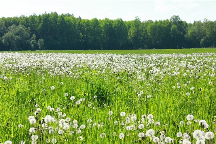 Из Чукавино в Старицу — Культура (фото 2)