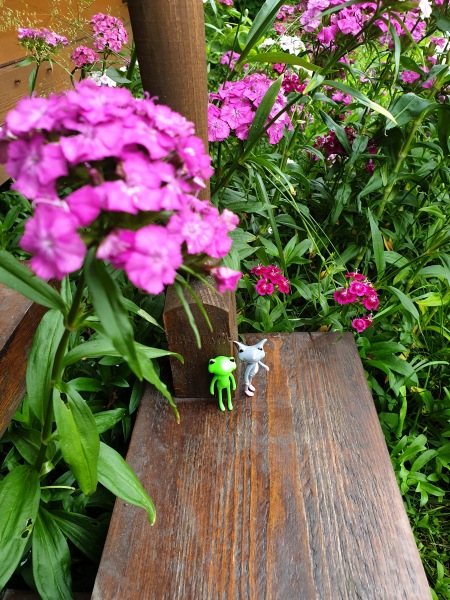 Лягушонок превращается в... мышонка (фото 10)