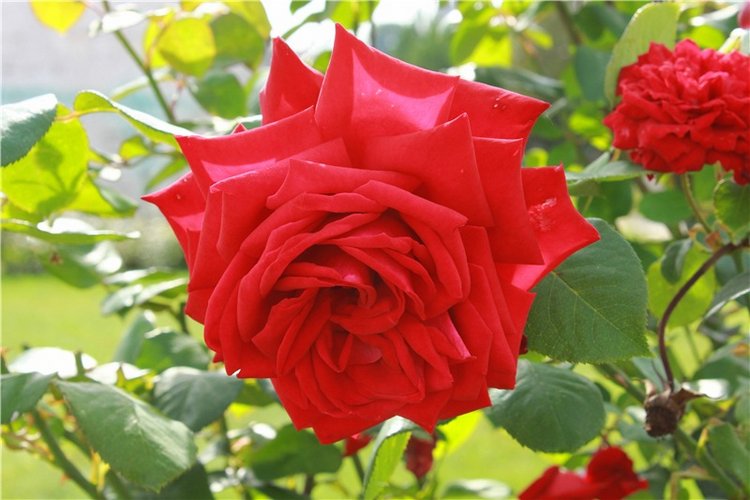 Сентябрьское путешествие в Старицу. Старицкий Свято-Успенский Монастырь