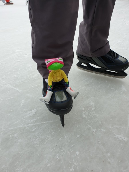 Лягушка Ванда и все-все-все (фото 7)