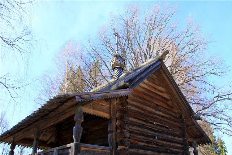 Апрельский день в Василёво, заключительная часть (фото 10)