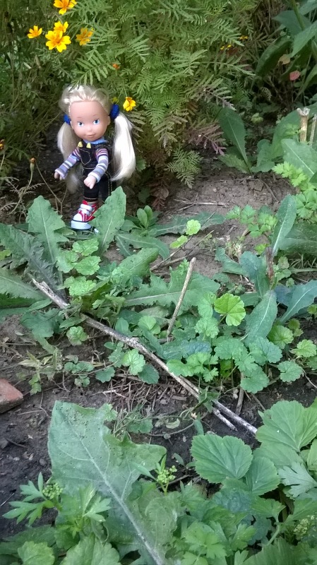 Девчонка по имени Женька-подарок форумчанки Анечки