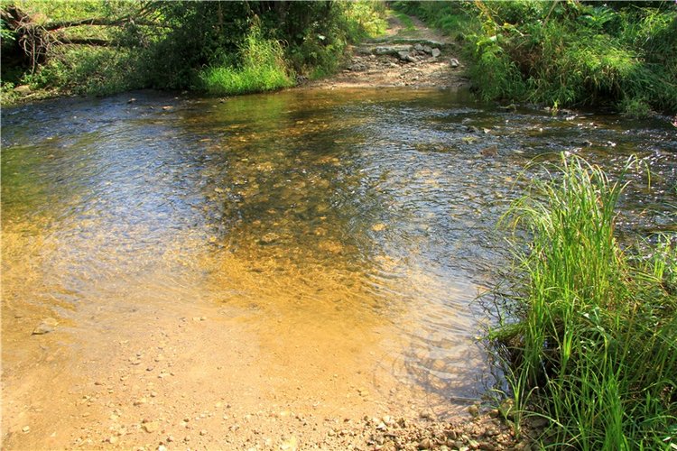 Старицкая Швейцария. Путешествие Мии. Minifee Miyu FairlyLand | Бэйбики Старицкая Швейцария. Путешествие Мии. Minifee Miyu FairlyLand