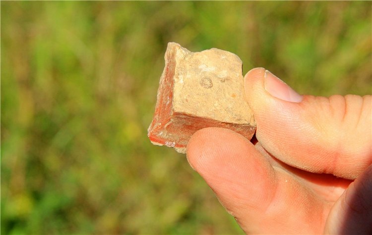 Старицкая Швейцария. Старицкие пещеры, д. Толпино, заключительная часть