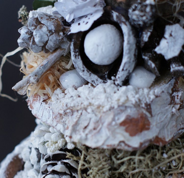 Елочка — Другие хобби и увлечения: сад