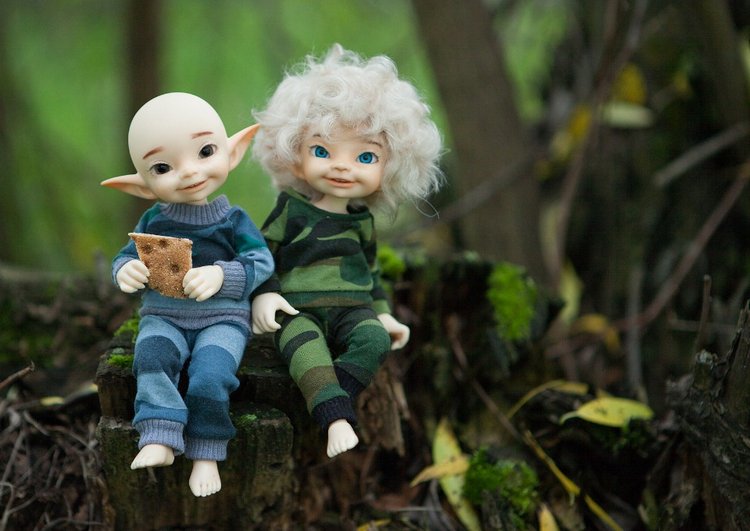 Знакомство с братьями эльфами 2 (фото 6)