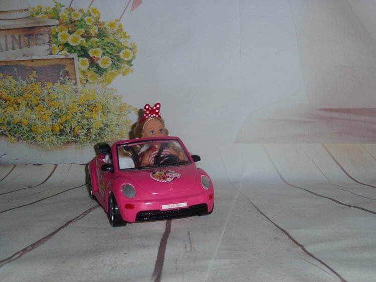 Встречаем сестру Минни в кабриолете (фото 2)