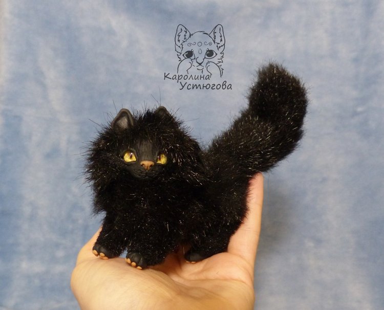 Кот породы Мейн-ку́н, черный. Я к удаче