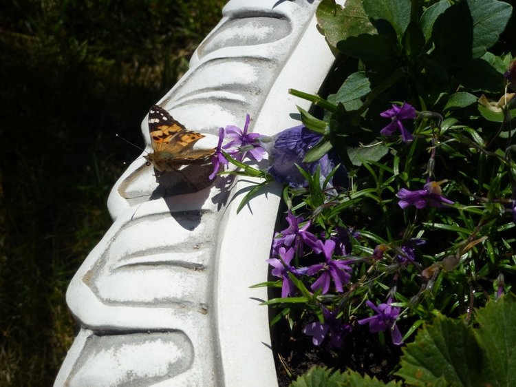 Сочи-Адлер: Южное Взморье - Мои любимые куколки на отдыхе